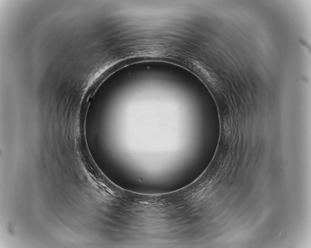 X0000096990532200802221500