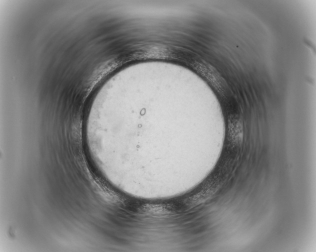 X0000096990534200802221500