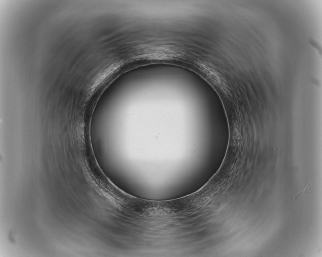 X0000096990535200802221500