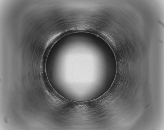 X0000096990536200802221500