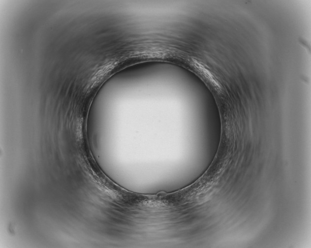 X0000096990537200802221500