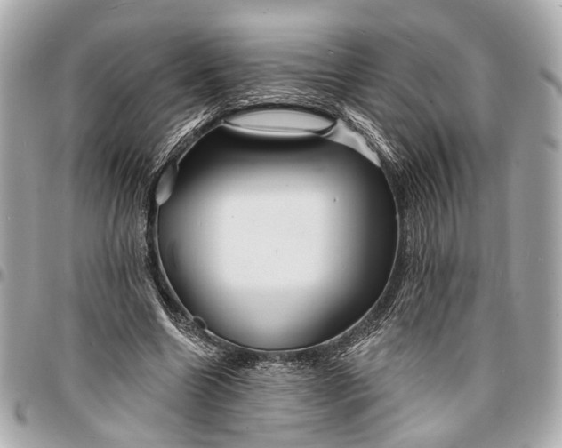 X0000096990538200802221500