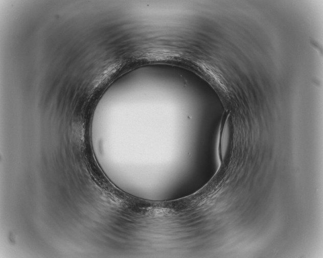 X0000096990539200802221500