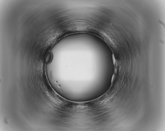 X0000096990542200802221500