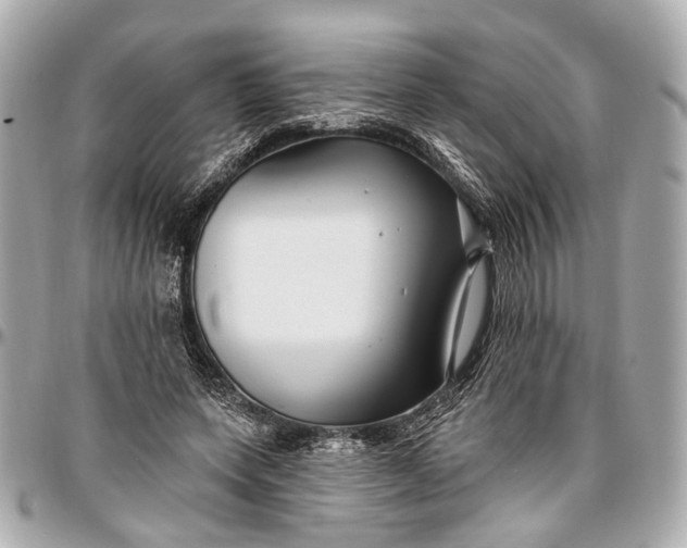 X0000096990543200802221500