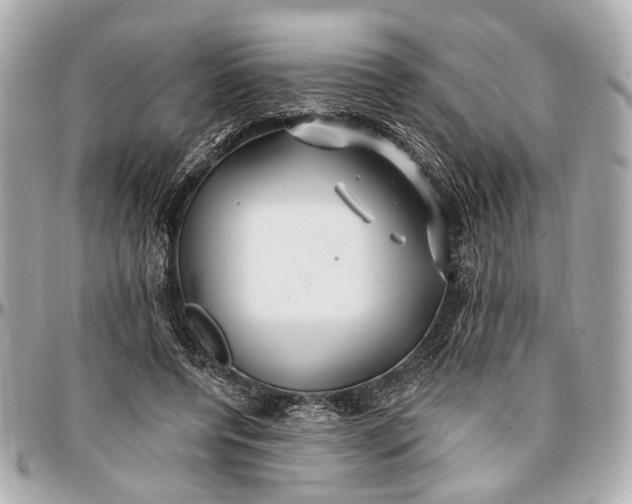 X0000096990544200802221500