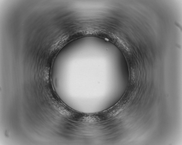 X0000096990545200802221500