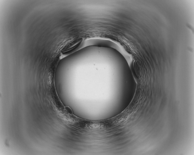 X0000096990546200802221500