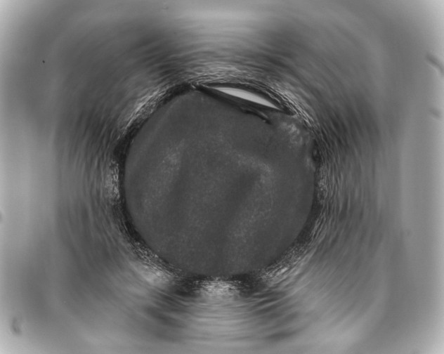 X0000096990547200802221500