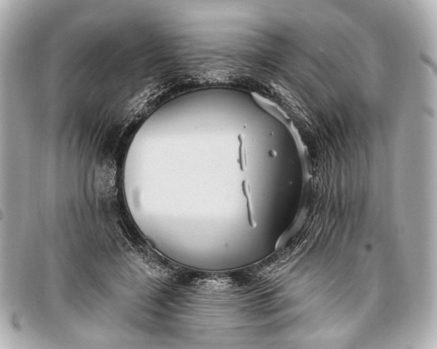 X0000096990548200802221500