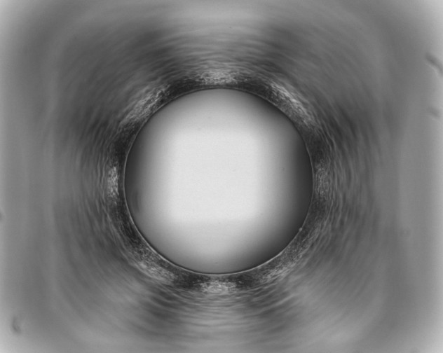 X0000096990549200802221500