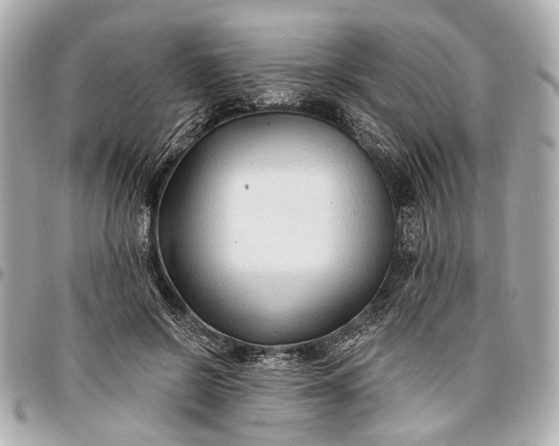 X0000096990550200802221500