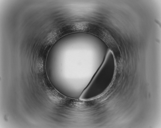 X0000096990552200802221500