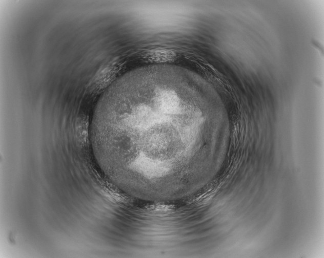 X0000096990553200802221500