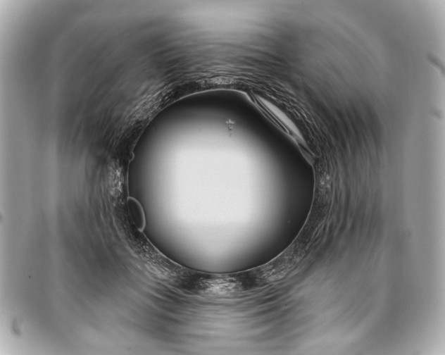 X0000096990555200802221500