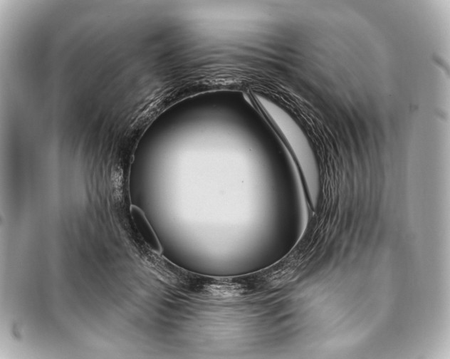 X0000096990556200802221500