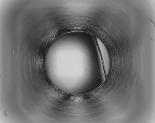 X0000096990559200802221500