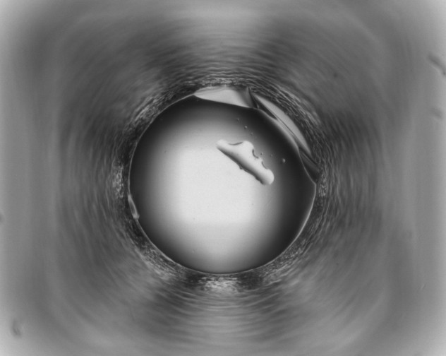 X0000096990560200802221500