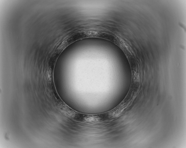 X0000096990561200802221500