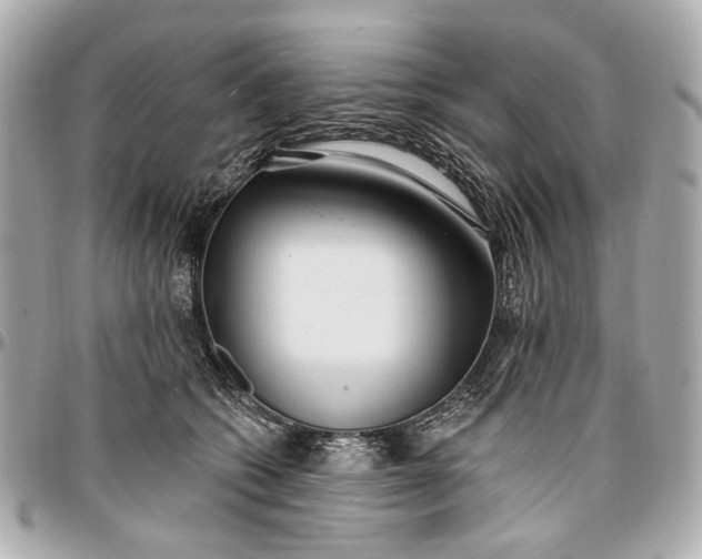 X0000096990562200802221500