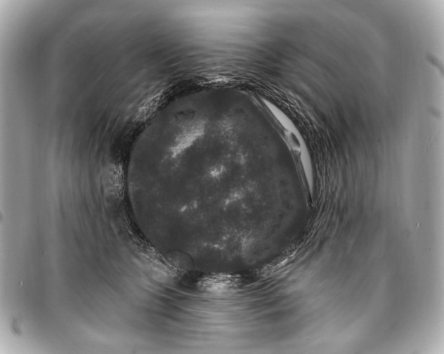 X0000096990563200802221500