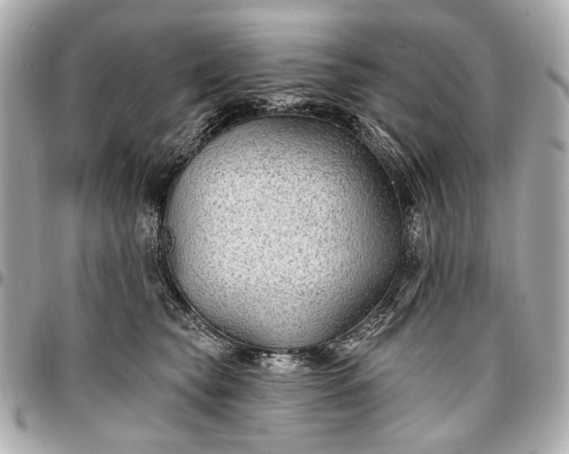 X0000096990565200802221500