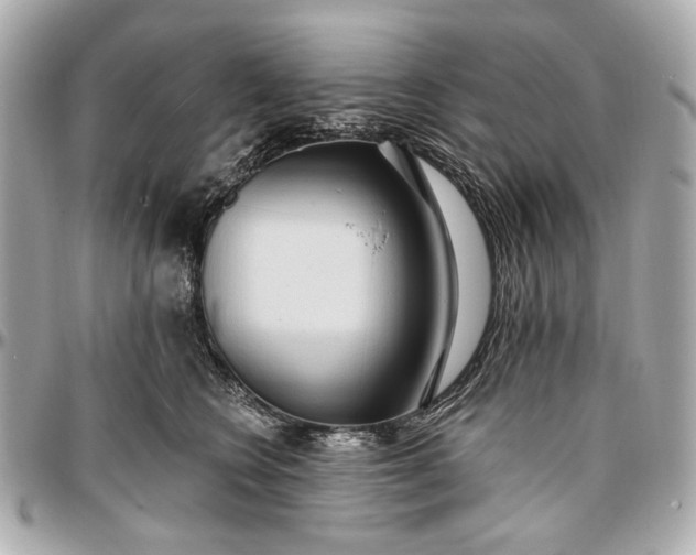 X0000096990566200802221500