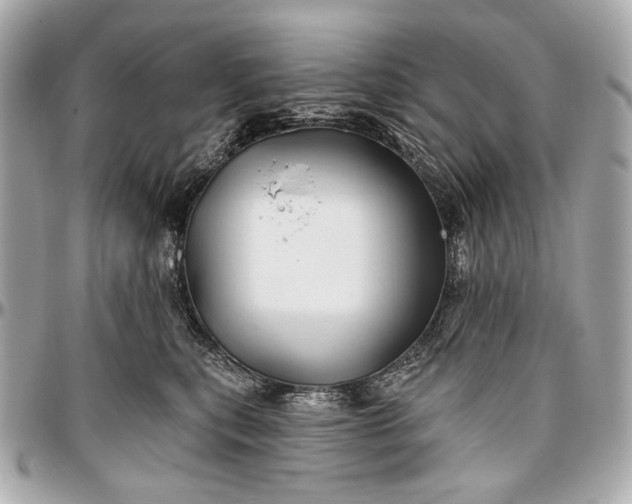 X0000096990567200802221500