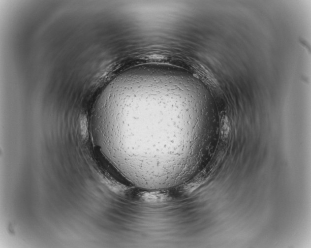 X0000096990568200802221500