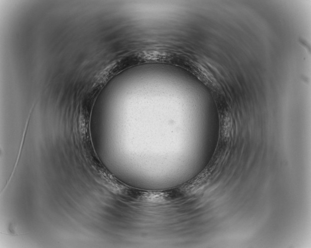 X0000096990569200802221500