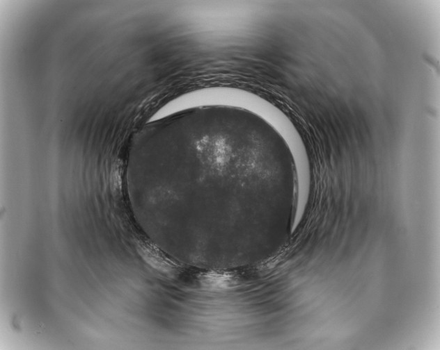 X0000096990570200802221500