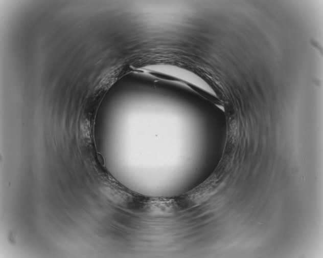 X0000096990571200802221500