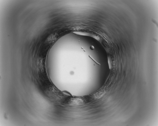 X0000096990572200802221500