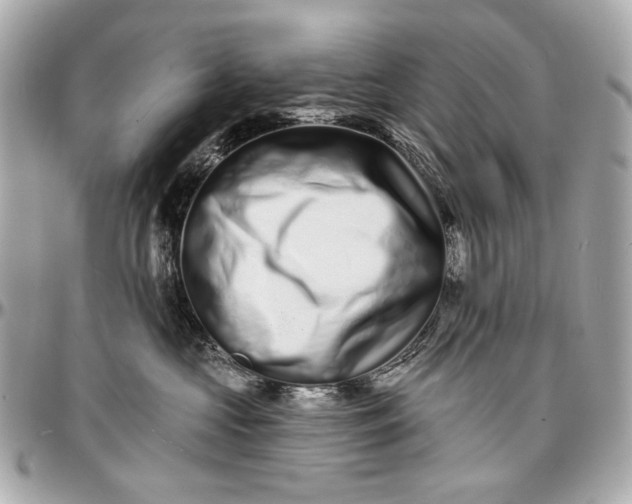 X0000096990573200802221500