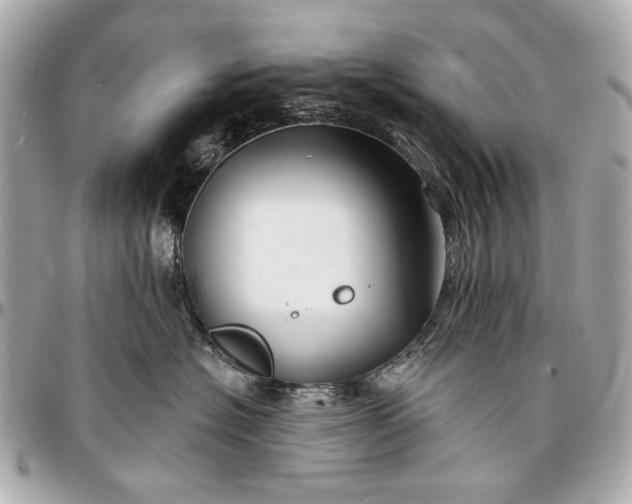 X0000096990574200802221500