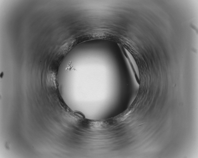 X0000096990575200802221500