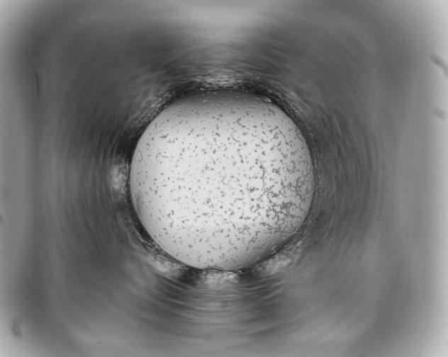 X0000096990576200802221500