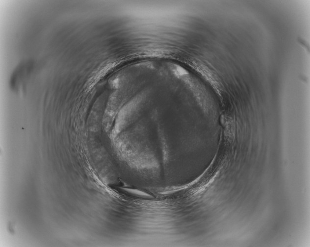 X0000096990577200802221500