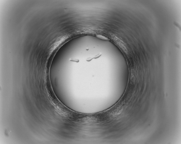 X0000096990578200802221500