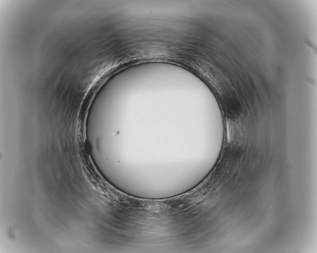 X0000096990579200802221500