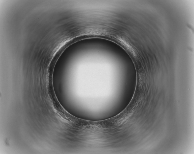 X0000096990580200802221500