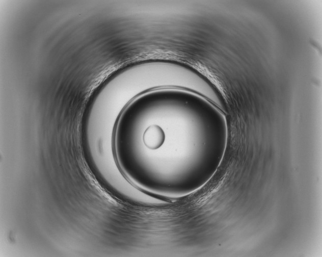 X0000096990581200802221500