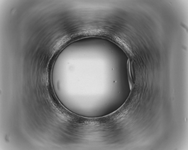 X0000096990582200802221500