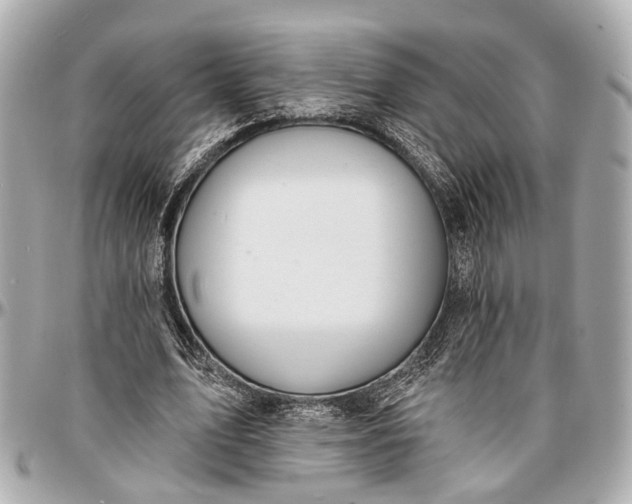 X0000096990583200802221500