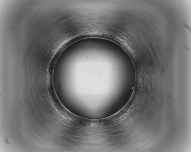 X0000096990584200802221500