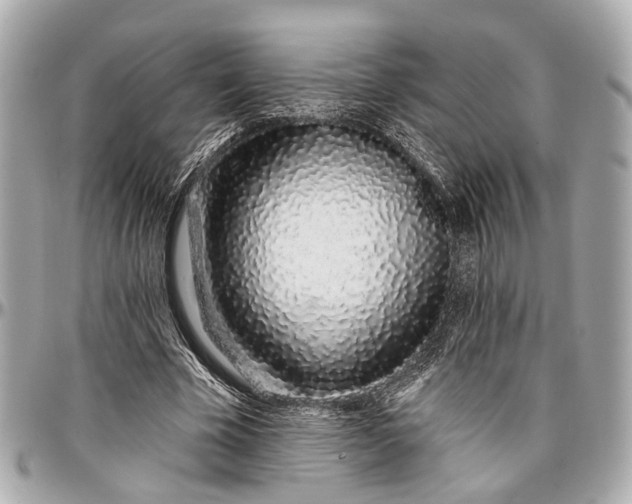 X0000096990585200802221500