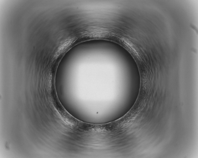 X0000096990586200802221459