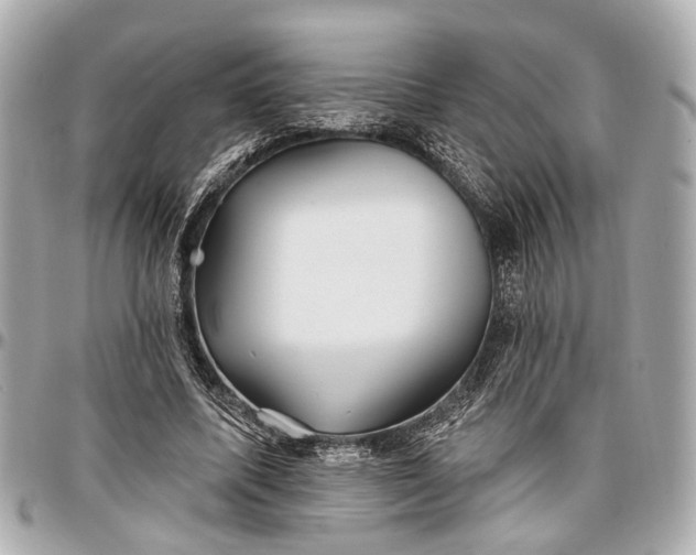 X0000096990587200802221459