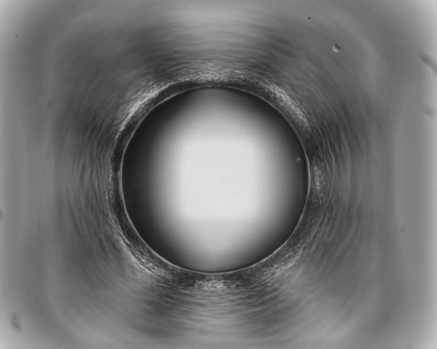 X0000096990588200802221459