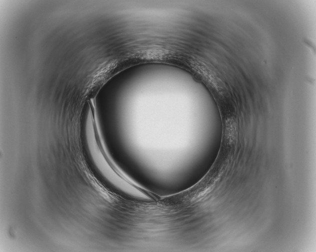 X0000096990589200802221459